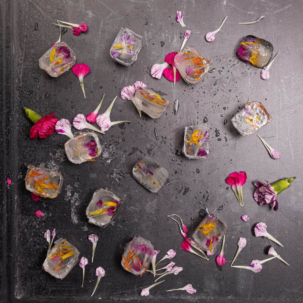 Frozen flower petals in ice-cubes