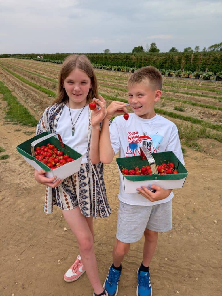 Two children at a farm holding boxes of tomatoes