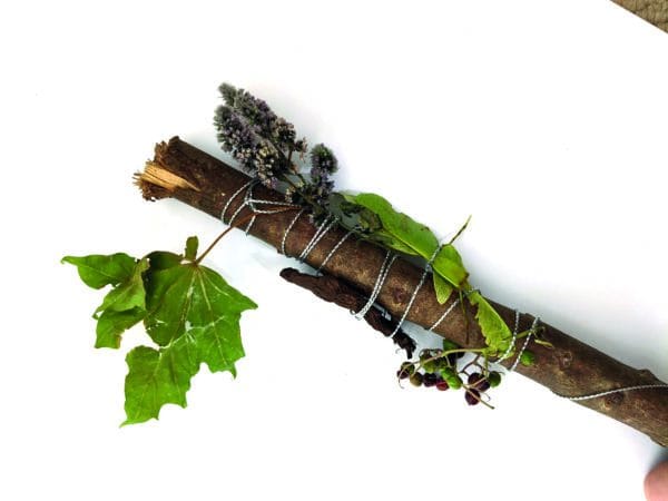branch