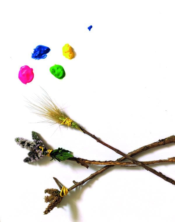 nature paintbrushes