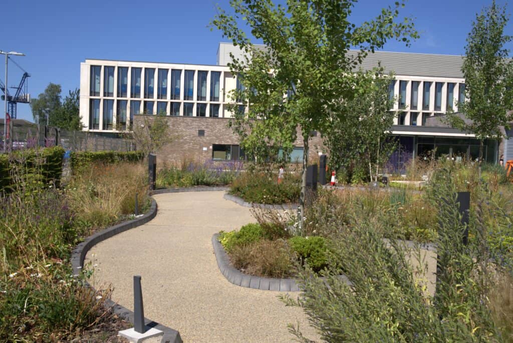 Sense garden and office with plants in the foreground.