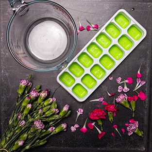 Shows a table with some flowers, an ice cube tray and a jug.