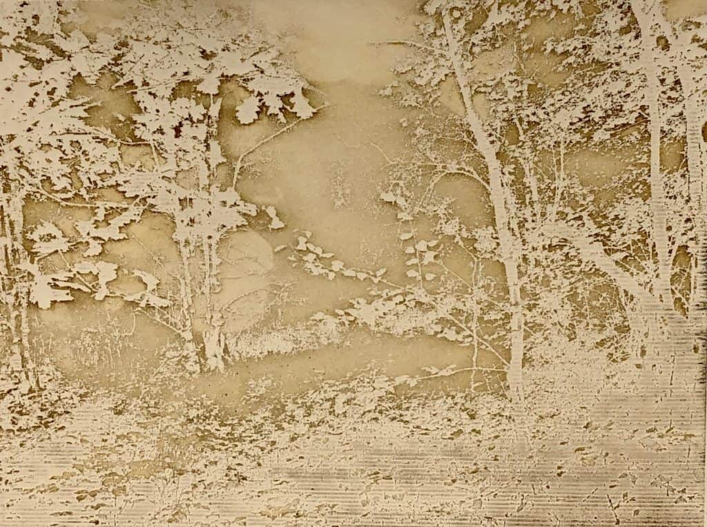 A tactile embossed piece of artwork showing trees and branches by artist Fae Kilburn