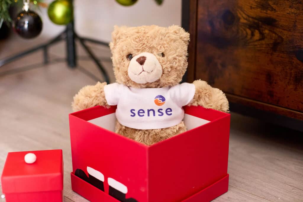 A teddy bear wearing a Sense t-shirt sitting in a christmas box