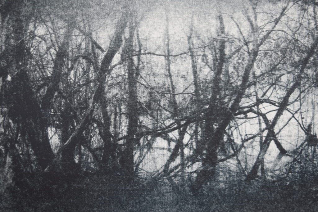 A black and white silkscreen print landscape, with fine tree branches in the foreground covering a lake. Areas of the image are blurred representing the loss of Fae’s vision in these areas, especially on the right hand side of the picture.