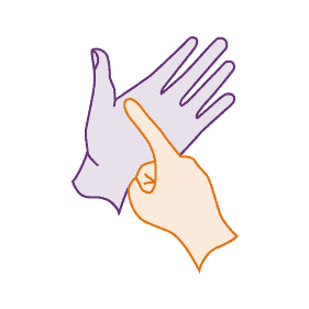 Y