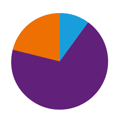Pie chart showing the age range of Fund recipients, the majority being children - 69%
