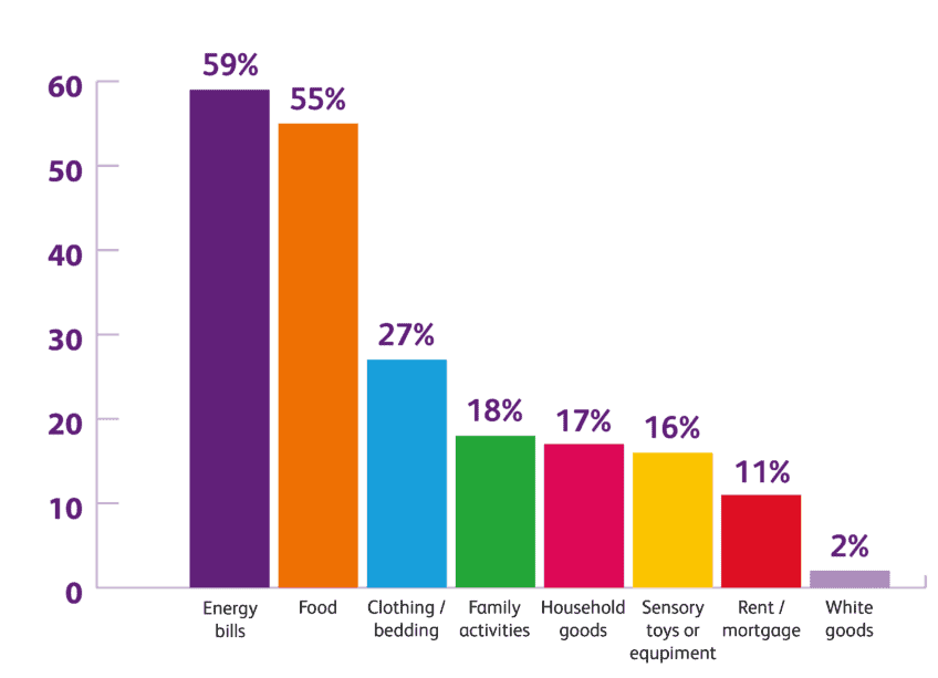 A bar chart showing what people used the Fund for. Energy bills and food were the main reasons.